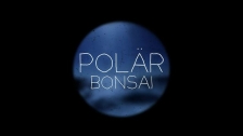 Polär 'Bonsai' music video