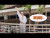 KAI 'Walls Don't Talk' music video