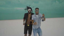 Skinny Fabulous 'Shameless' music video