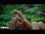 Okkervil River 'Judey On A Street' music video