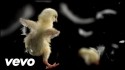 Blues Traveler 'You, Me And Everything' Music Video