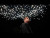 Martin Garrix & U2 'Fireflies' music video