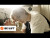 ENHYPEN 'MANIFESTO : DAY 1' music video
