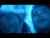 Fontaines D.C. 'Tongue' music video