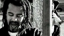 Michael Franti 'Why Oh Why' music video