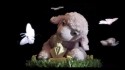 They Might Be Giants 'End of the Rope' Music Video