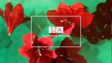 SZA 'Time Travel Undone' music video