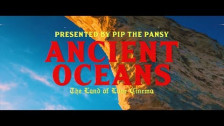 Pip the Pansy 'Ancient Oceans' music video