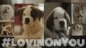 Cary Brothers 'Lovin' On You' Music Video