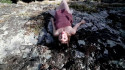 Sarah Neufeld 'With Love and Blindness' Music Video