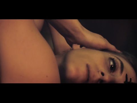 Baby Alpaca Roller Coaster 2015 Imvdb baby alpaca roller coaster 2015 imvdb