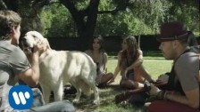 Jesse & Joy '¿Con Quien Se Queda El Perro?' music video