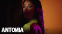 Antonia 'I Think I Love Him' Music Video