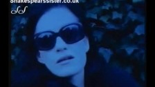 Shakespear's Sister 'Pulsatron' music video