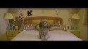 Whinnie Williams 'You Don't Love Me' Music Video