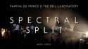 Pantha Du Prince 'Spectral Split' Music Video