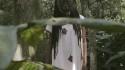 Contaminação 'Sementes Urbanas' Music Video