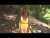 Rae x Fryktion 'Safe Space' music video