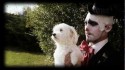 Archie Powell & The Exports 'Job Fair' Music Video