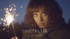 Mustelide 'Salut' music video