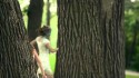 Lucy Michelle and the Velvet Lapelles 'Million Things' Music Video