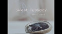 iskwē 'Sweet Tuesday' Music Video