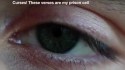 They Might Be Giants 'Hate The Villanelle' Music Video