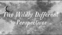 Father John Misty 'Two Wildly Different Perspectives' Music Video