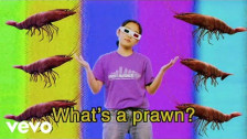 Superorganism 'The Prawn Song' music video