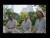 Anya Marina 'TELEPATHY' music video