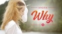 Andra 'Why' Music Video