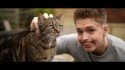 Joe Weller 'Kitty' Music Video