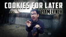 Liam Lynch 'Cookies For Later' music video