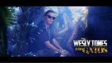 Wesly Tones 'Los Gatos' music video