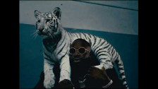 Rick Ross & French Montana & Max B 'Minks In Miami' music video