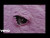 DJ Snake & Amadou & Mariam 'Patience' music video