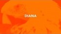 DIANA 'Born Again' Music Video