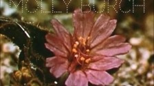 Molly Burch 'Try' music video