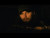 Warren Zeiders 'Pretty Little Poison' music video