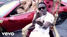 Troy Ave 'Young King' music video