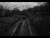 Clovis 'Les Cigales' music video