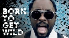 Steve Aoki 'Born To Get Wild' music video