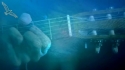 Yusuf Islam 'Heaven/Where True Love Goes' Music Video