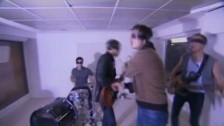 Babyshambles 'The Blinding' music video