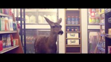 Owl City 'Deer In The Headlights' music video