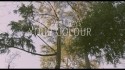 The Away Days 'Your Colour' Music Video