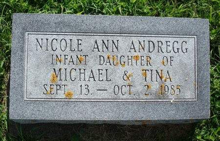 ANDREGG, NICOLE ANN - Allamakee County, Iowa | NICOLE ANN ANDREGG 