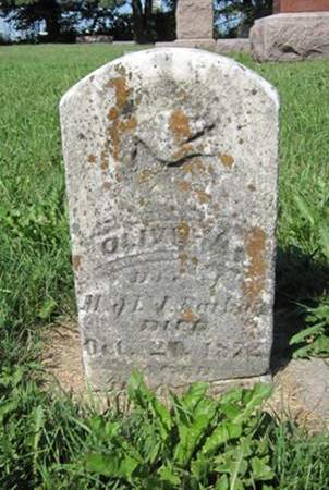 BARHAM, OLIVE - Allamakee County, Iowa | OLIVE BARHAM 