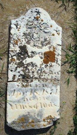 BARLOW, FRANCIS H. - Allamakee County, Iowa | FRANCIS H. BARLOW 