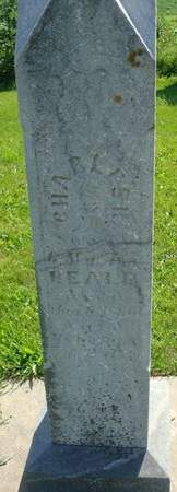 BEALL, CHARLES H. - Allamakee County, Iowa | CHARLES H. BEALL 